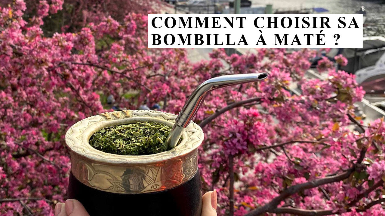 comment choisir bombilla mate